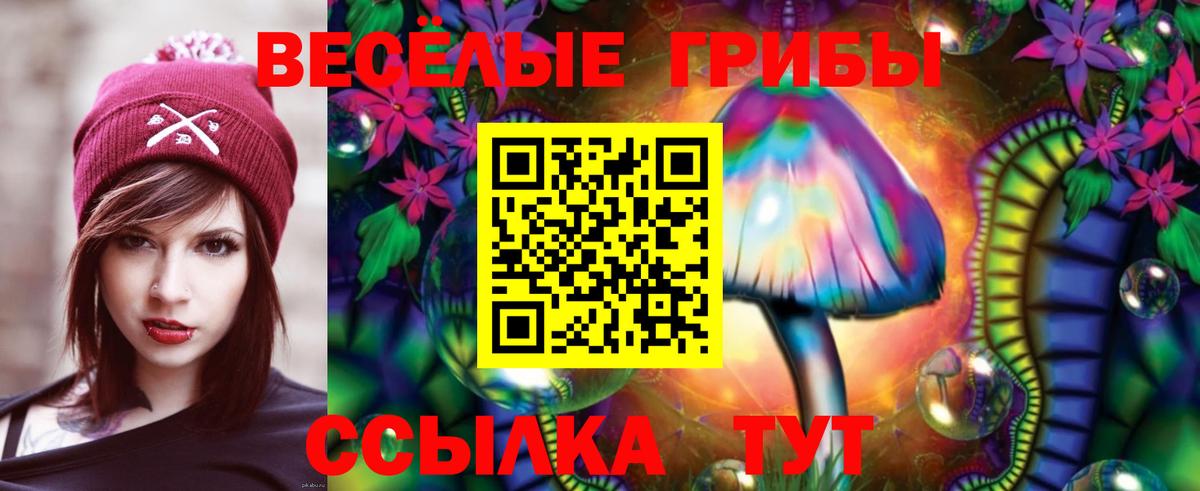 Галлюциногенные грибы Magic Shrooms  Галлюциногенные грибы GOLDEN TEACHER  Вход с VPN  Братск 