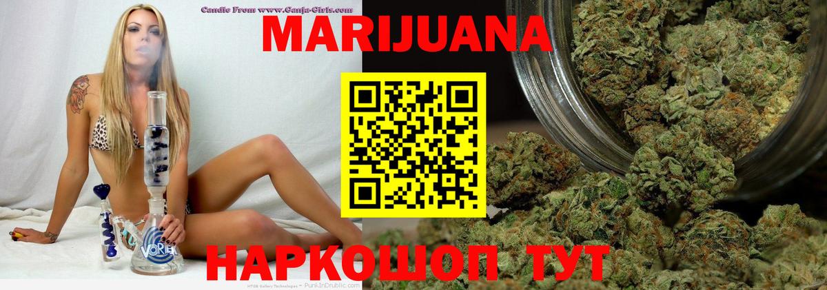 Бошки Шишки план Братск